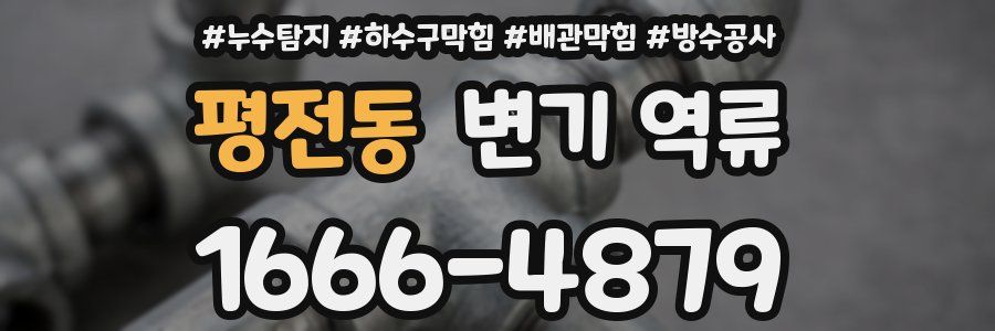 평전동 변기 역류