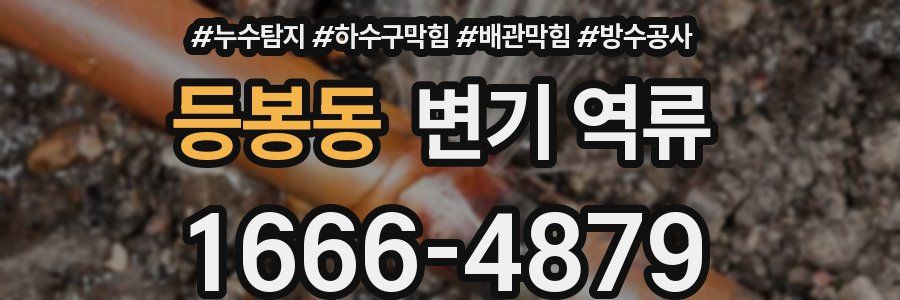 등봉동 변기 역류