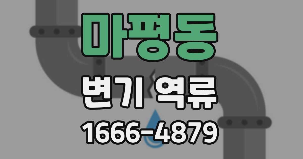 마평동 변기 역류