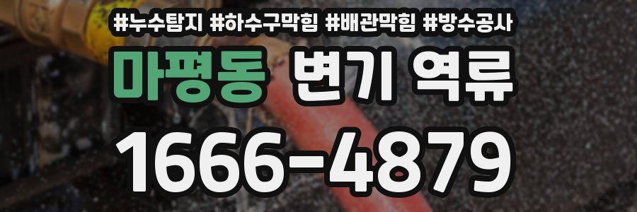 마평동 변기 역류