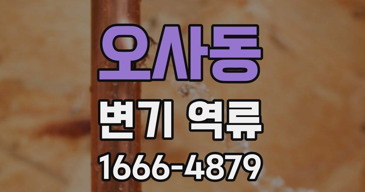 오사동 변기 역류
