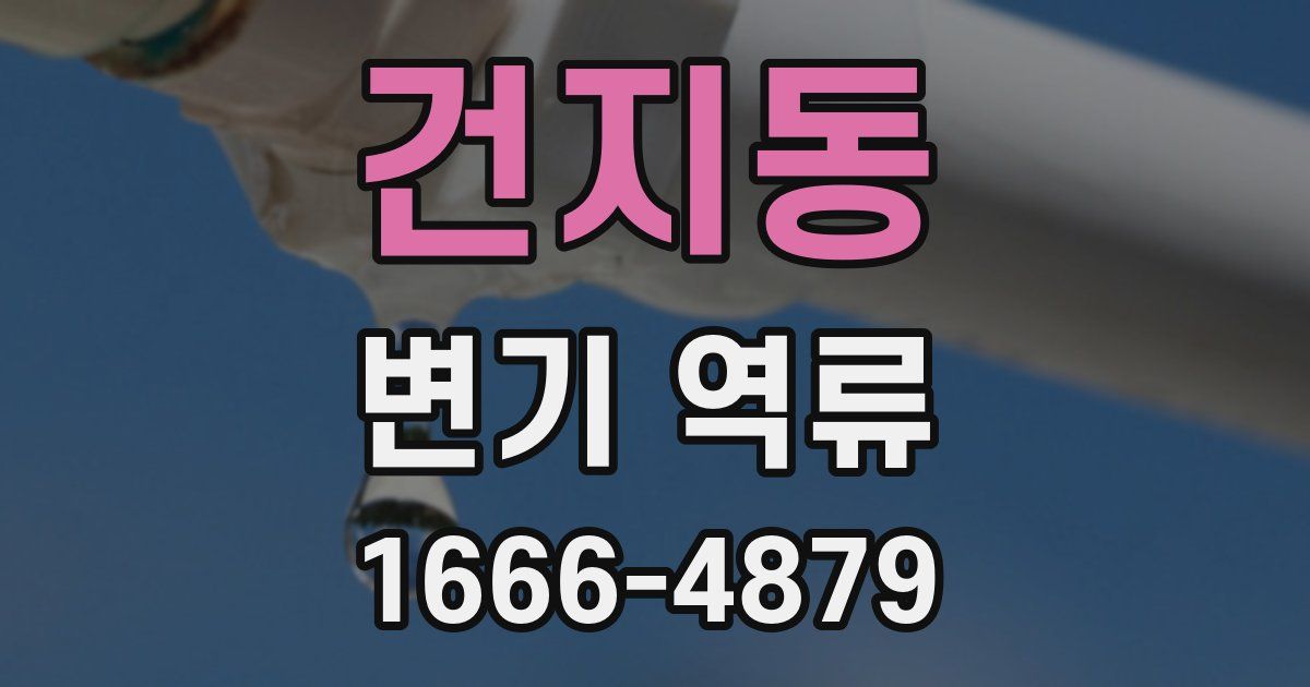건지동 변기 역류
