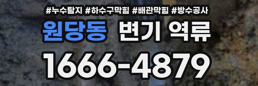 원당동 변기 역류