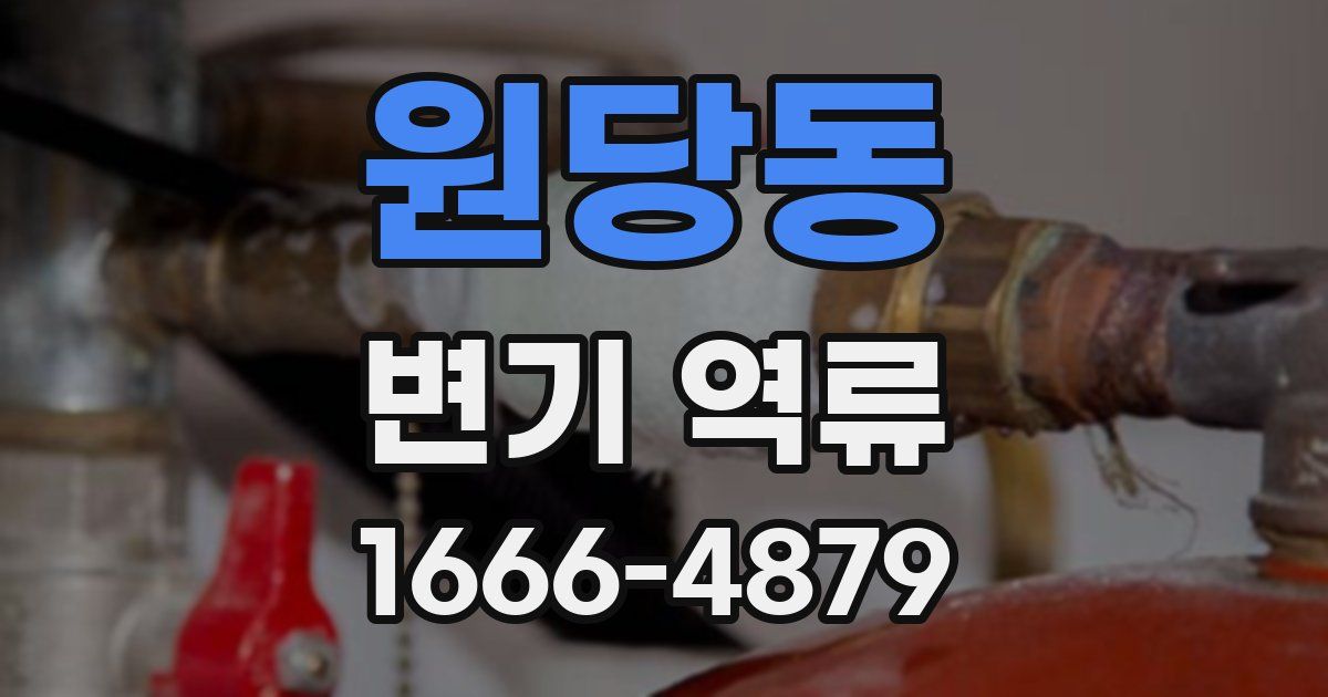 원당동 변기 역류