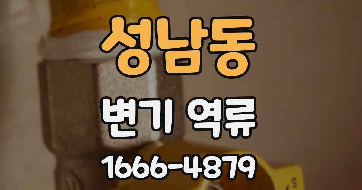 성남동 변기 역류