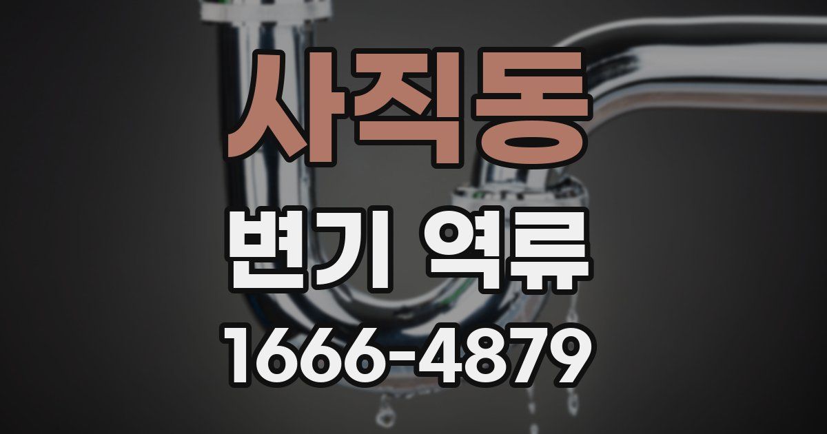 사직동 변기 역류