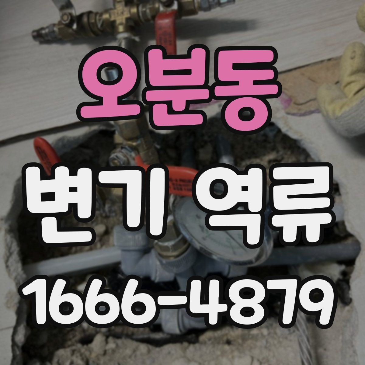 오분동 변기 역류 오래된 건물에서 자주 생기는 배경