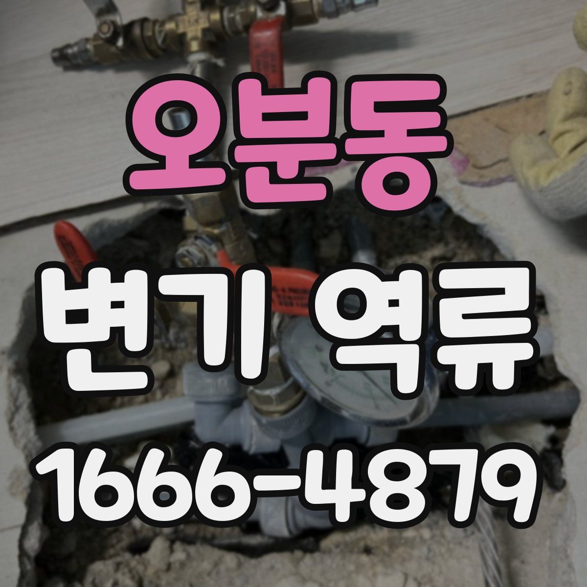 오분동 변기 역류