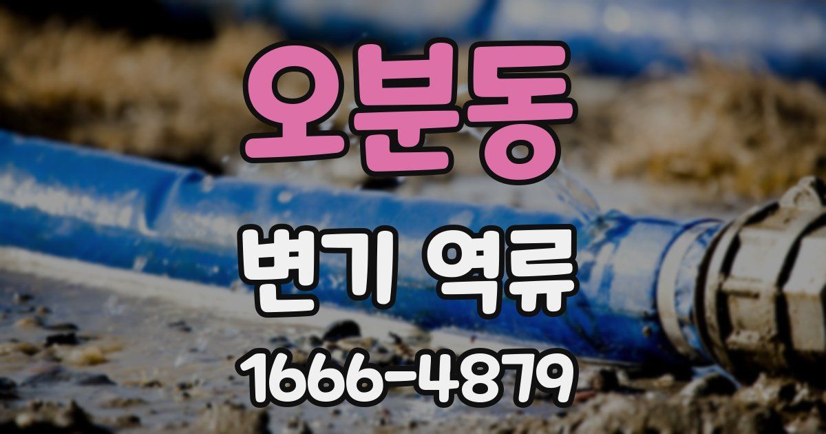 오분동 변기 역류
