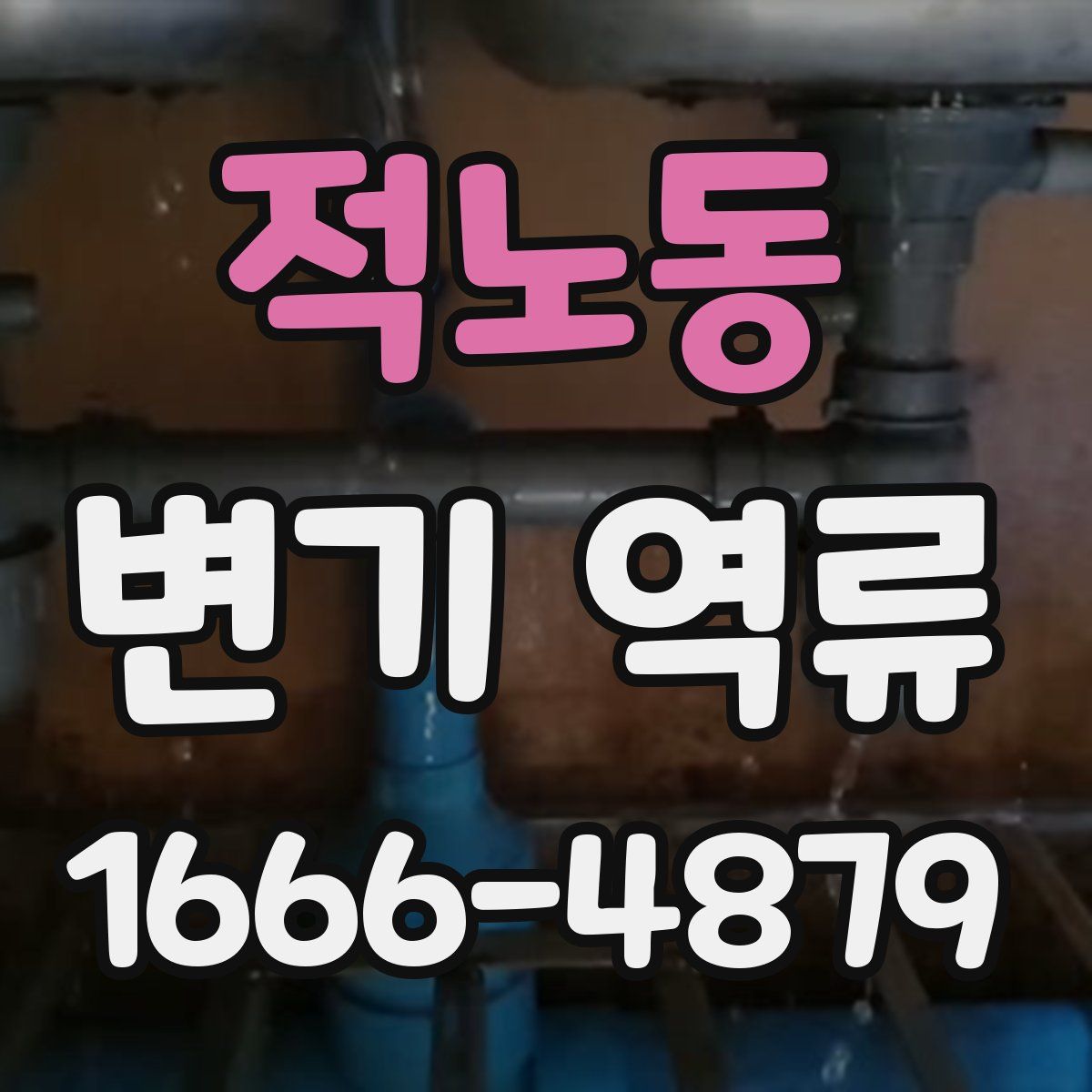 적노동 변기 역류