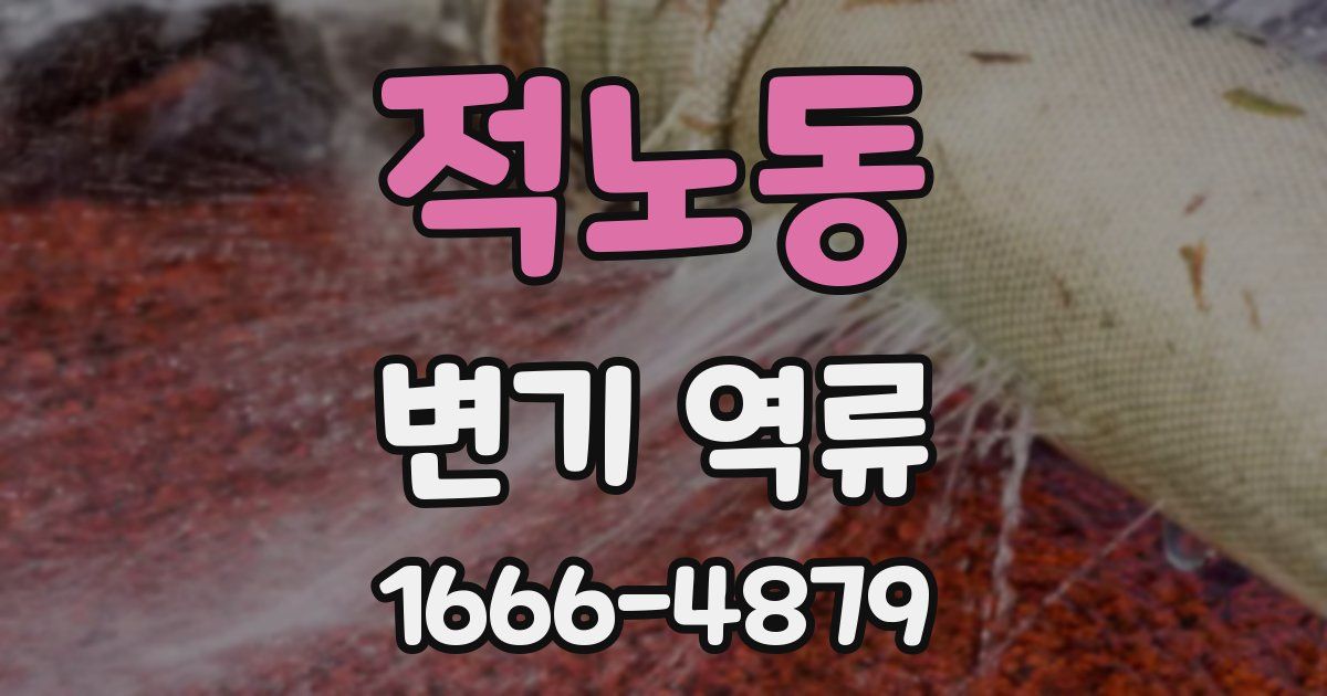 적노동 변기 역류