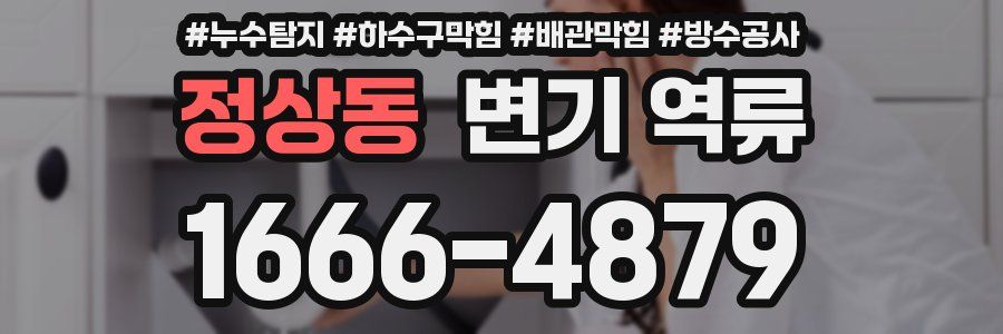 정상동 변기 역류