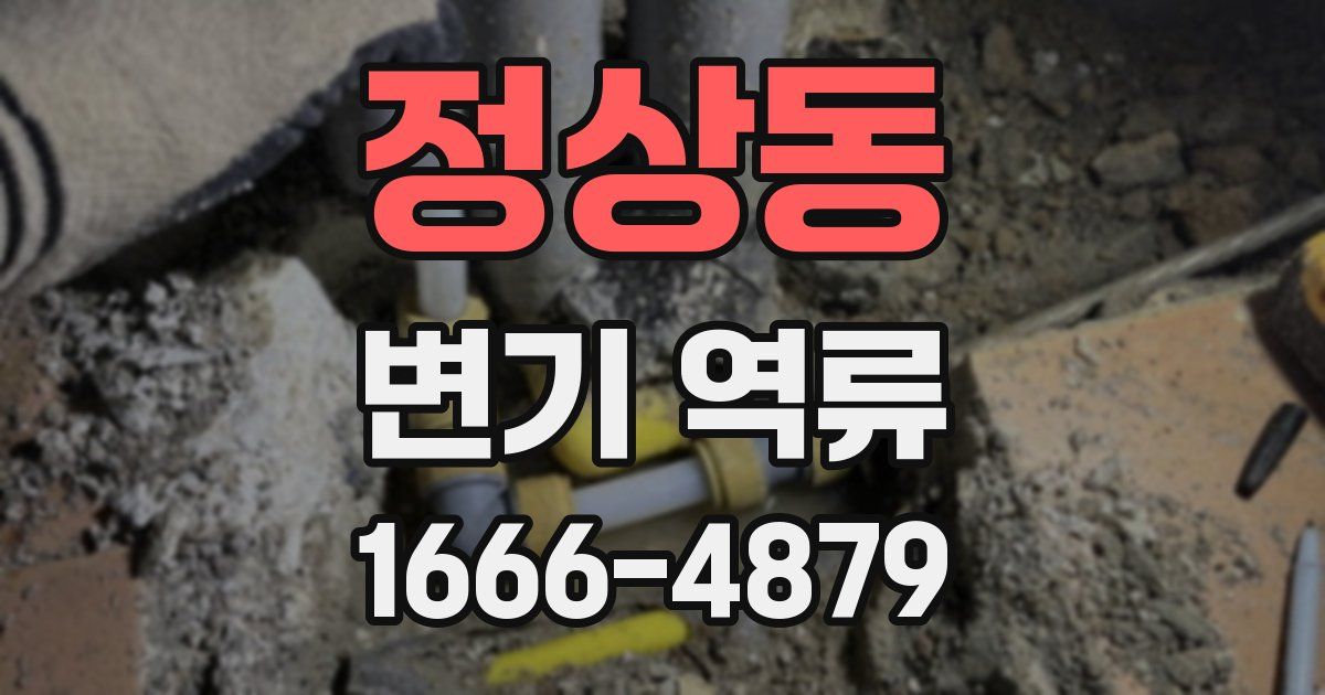 정상동 변기 역류
