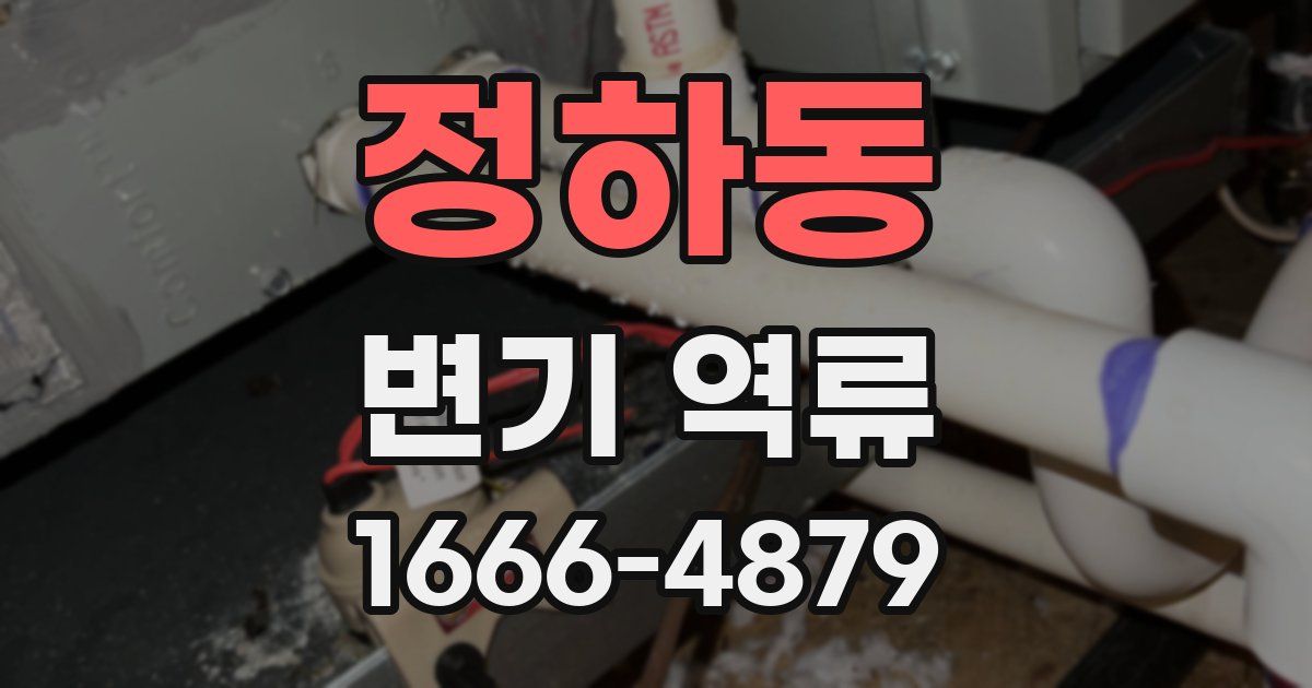 정하동 변기 역류