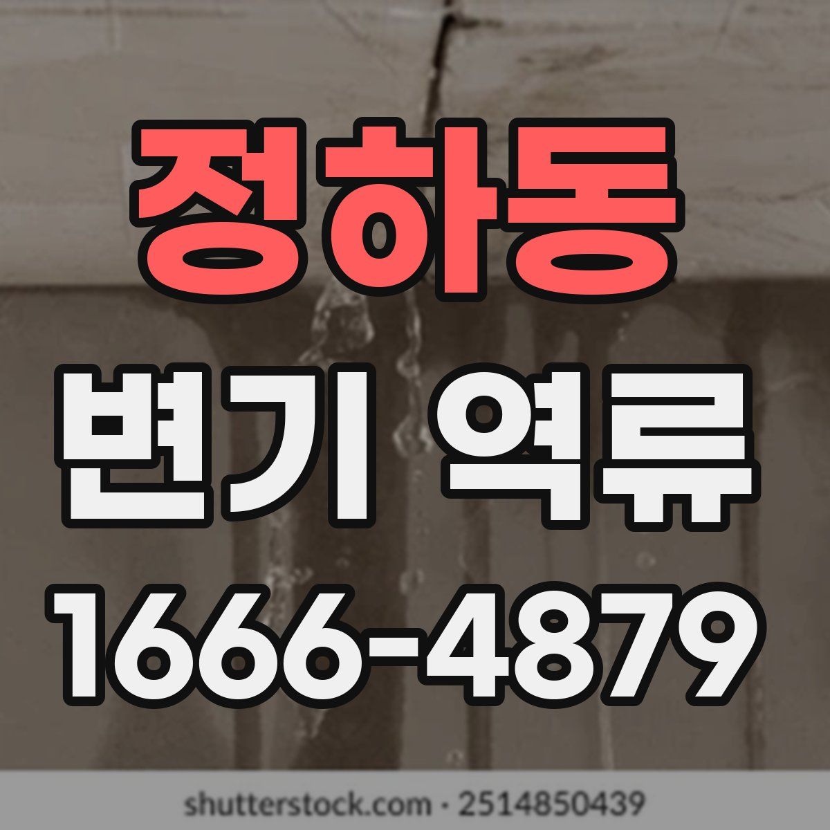 정하동 변기 역류