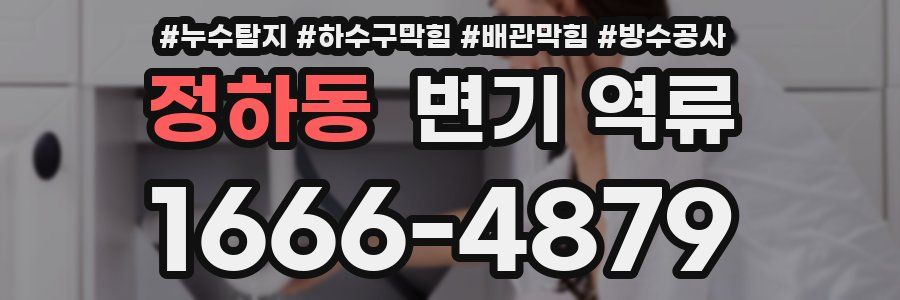 정하동 변기 역류