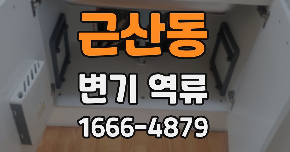 근산동 변기 역류