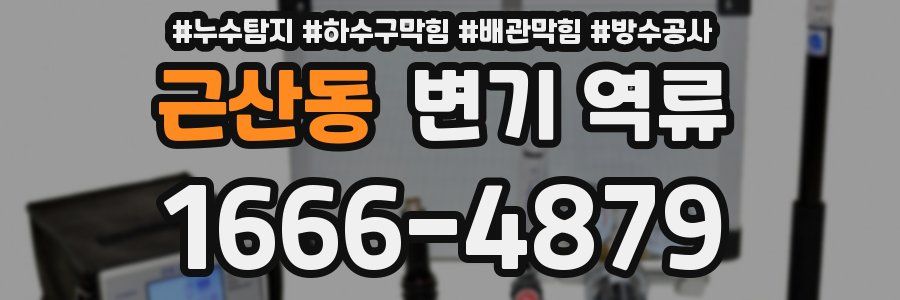 근산동 변기 역류