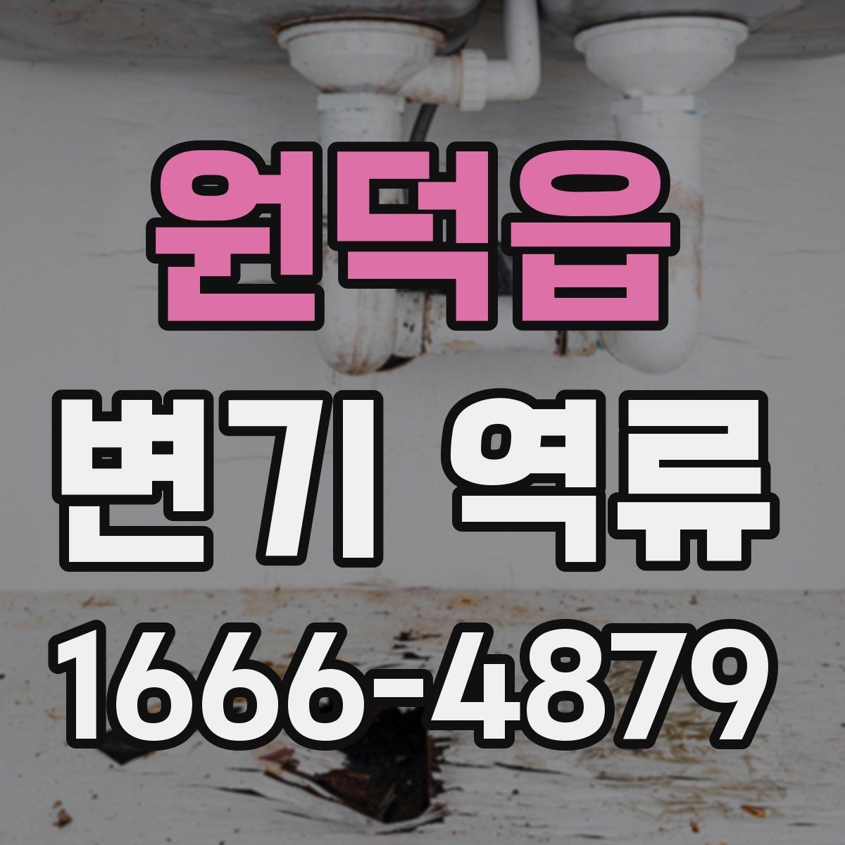 원덕읍 변기 역류 이물질 유입 후 나타나는 변화