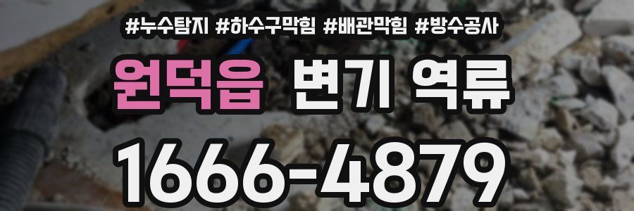원덕읍 변기 역류