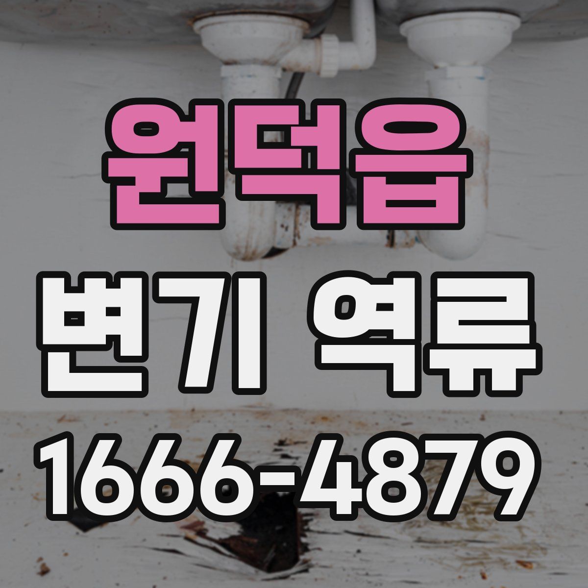 원덕읍 변기 역류