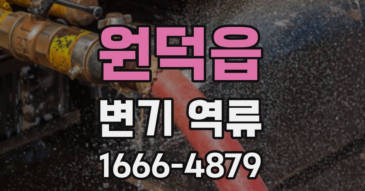 원덕읍 변기 역류