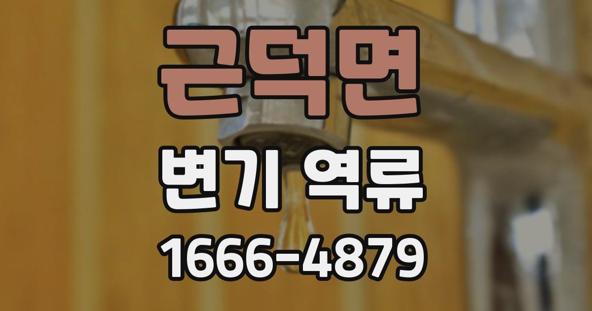 근덕면 변기 역류