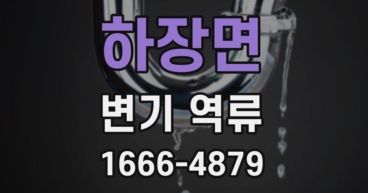 하장면 변기 역류