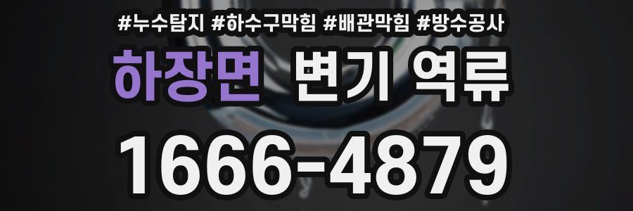 하장면 변기 역류