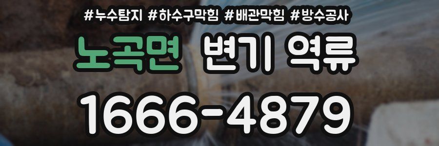 노곡면 변기 역류