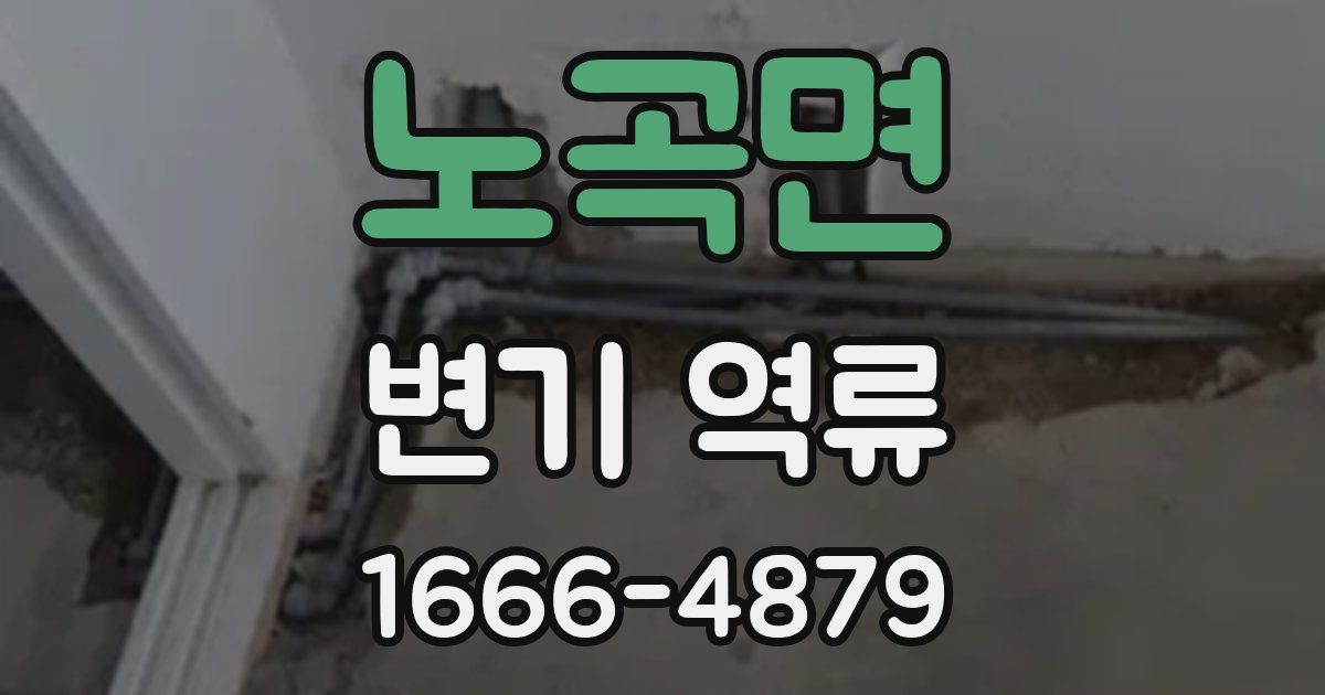 노곡면 변기 역류