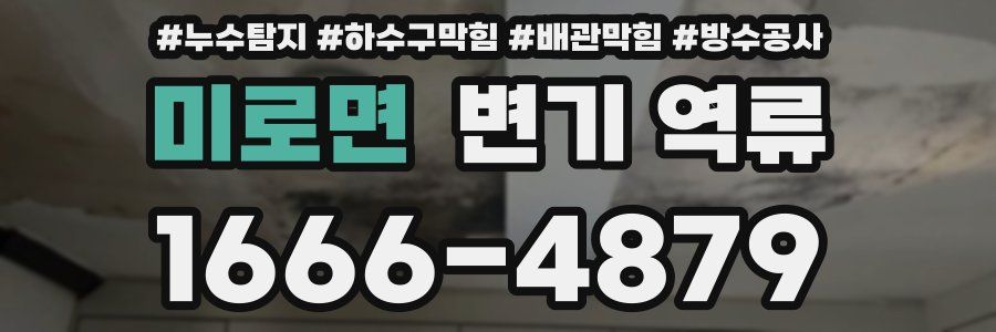 미로면 변기 역류