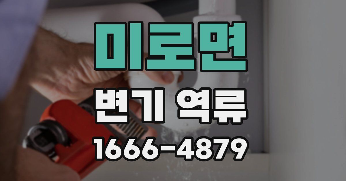 미로면 변기 역류