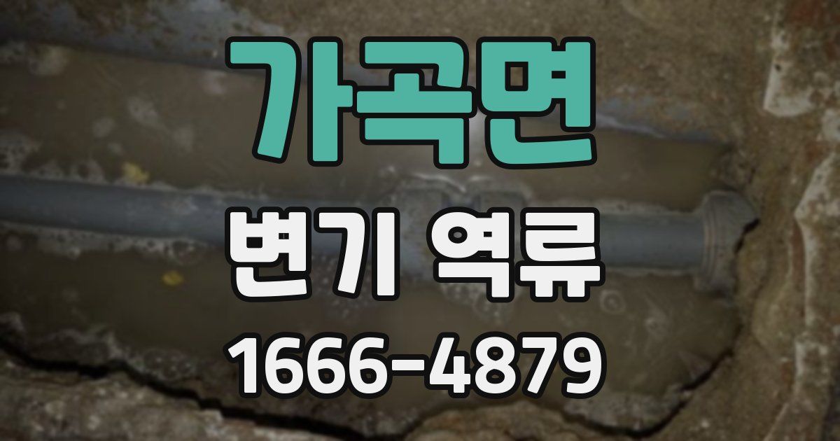 가곡면 변기 역류