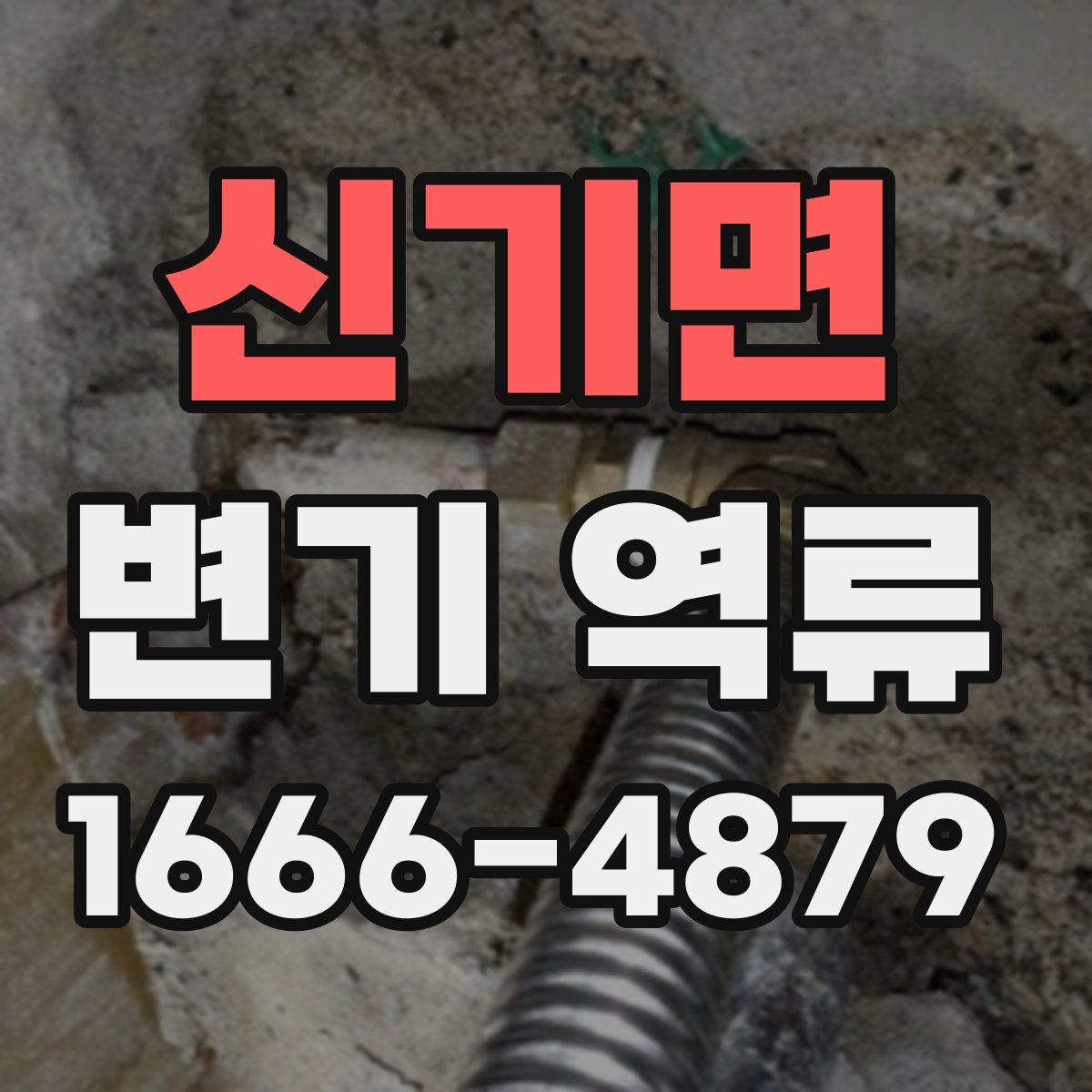 신기면 변기 역류