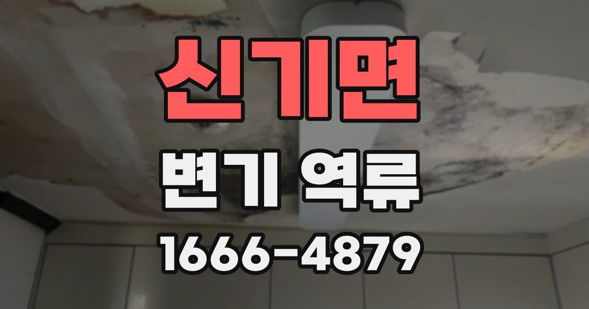 신기면 변기 역류