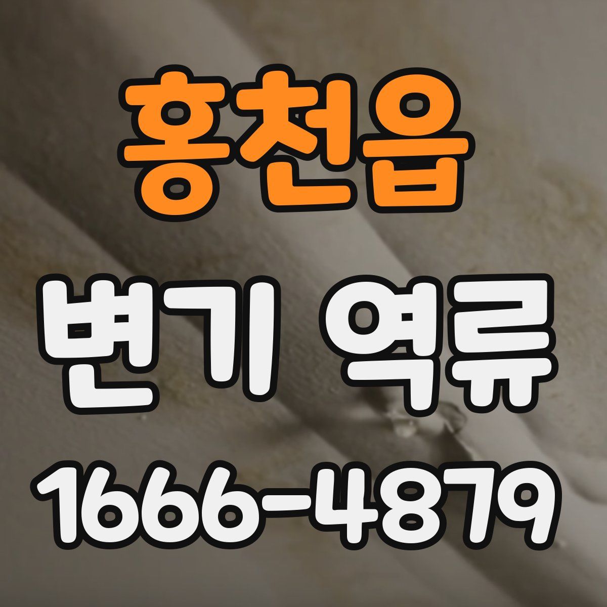 홍천읍 변기 역류