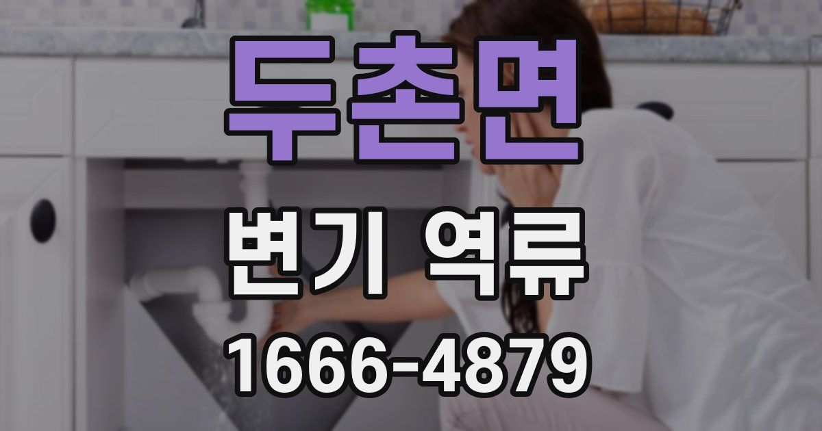 두촌면 변기 역류