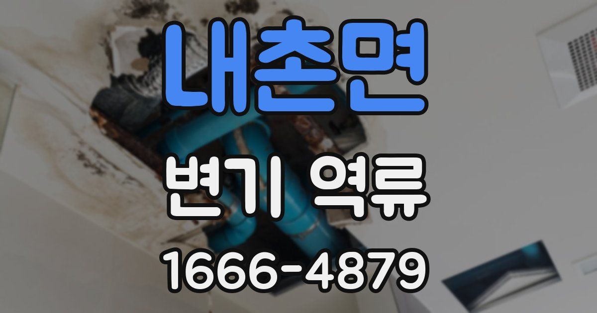 내촌면 변기 역류