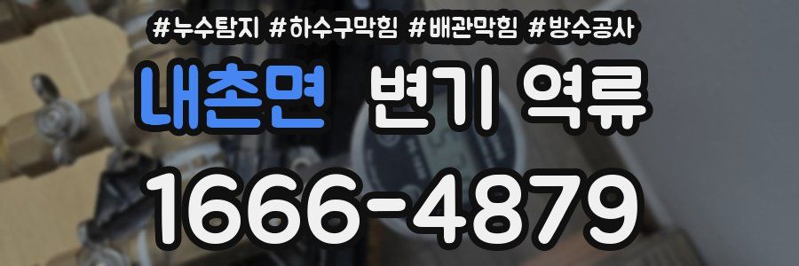 내촌면 변기 역류