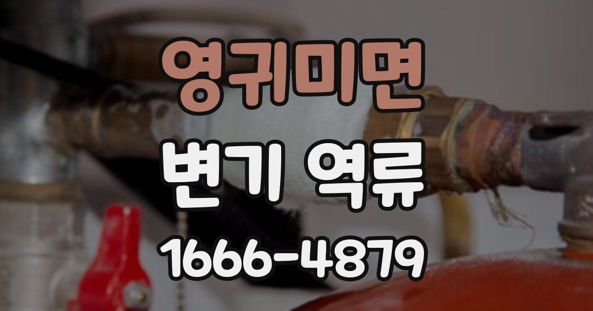 영귀미면 변기 역류