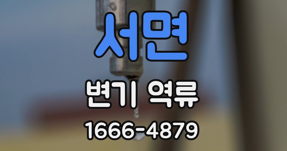 서면 변기 역류