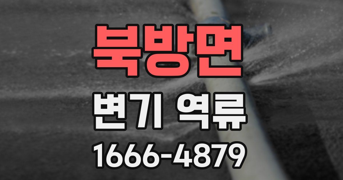 북방면 변기 역류