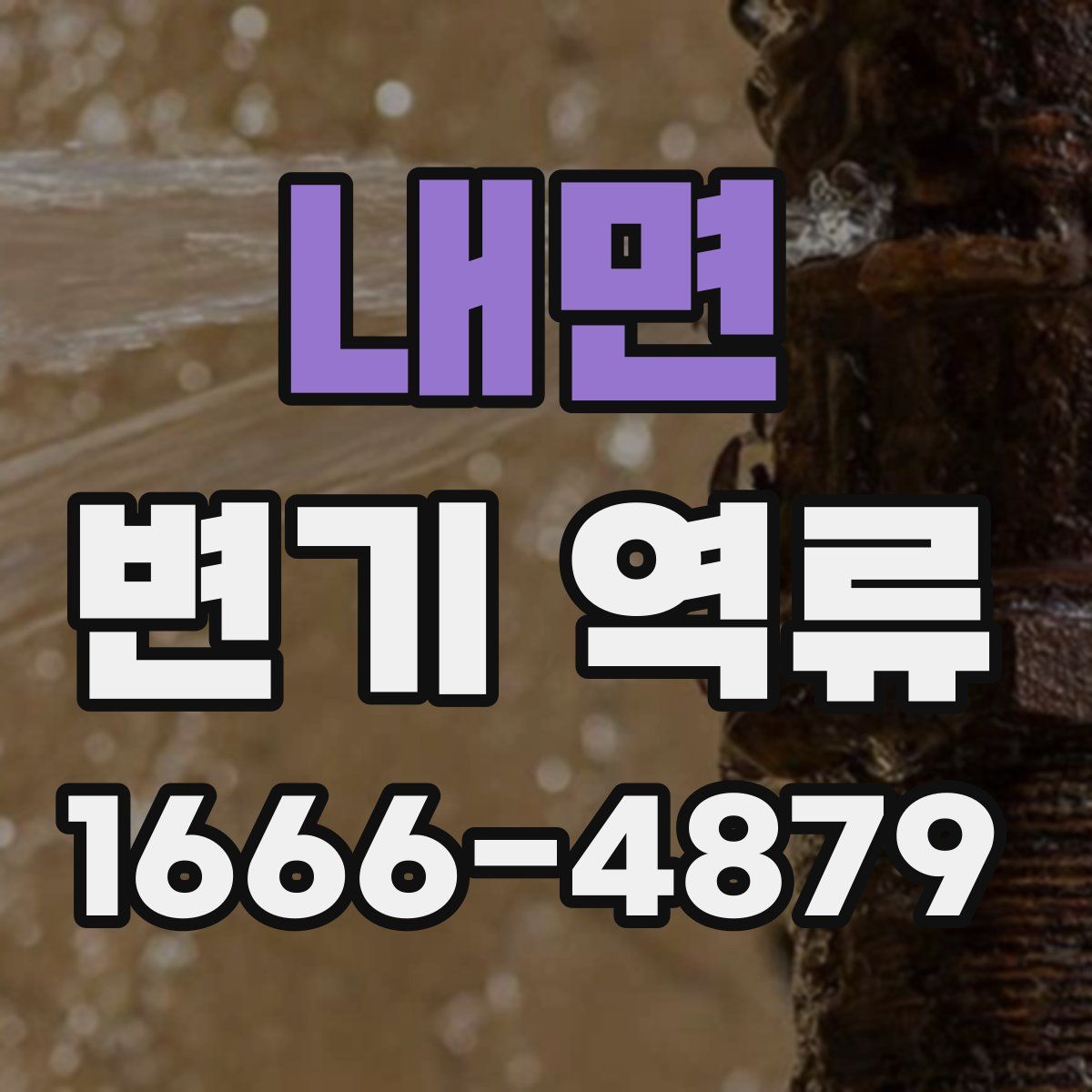 내면 변기 역류