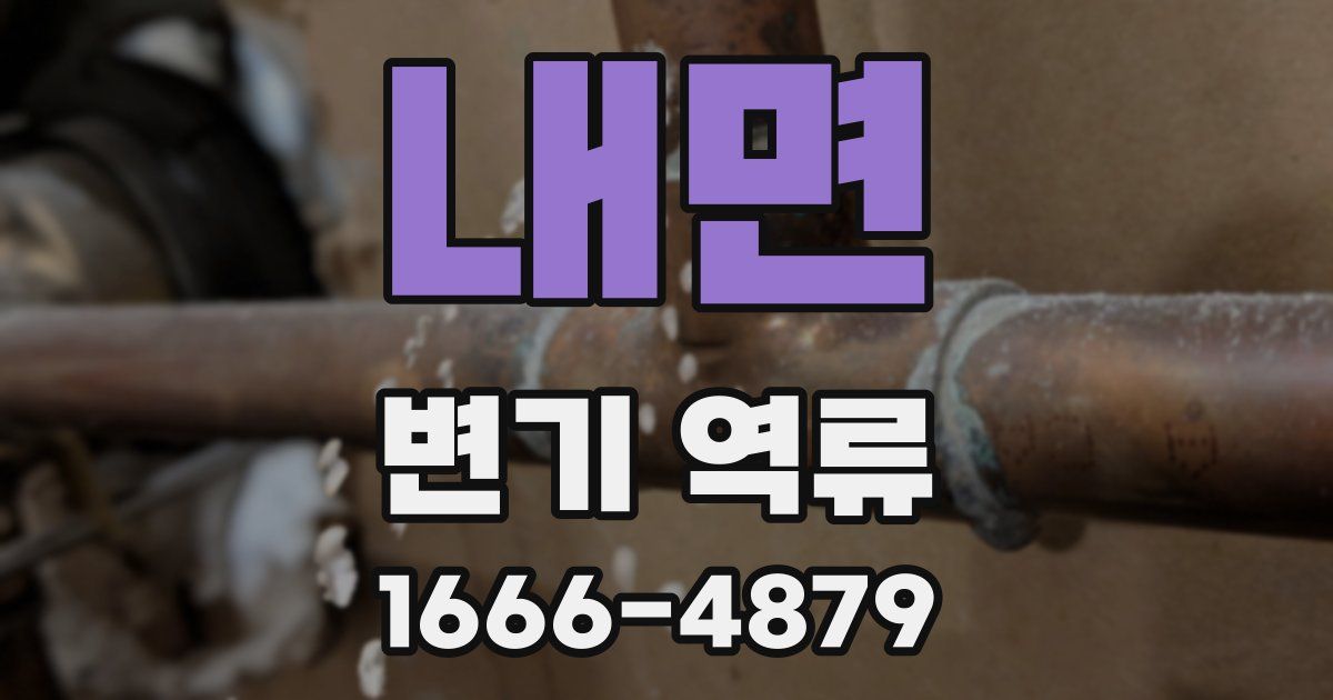 내면 변기 역류
