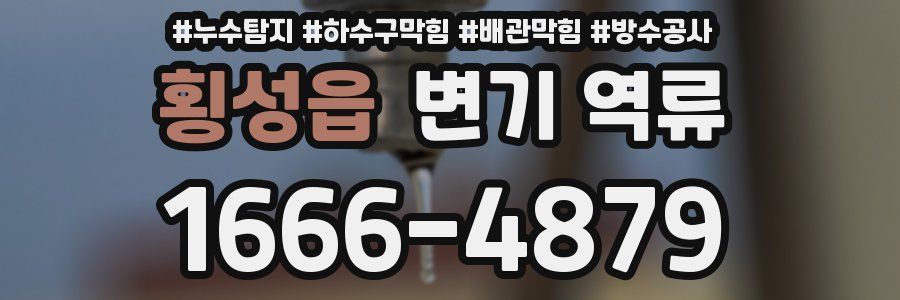 횡성읍 변기 역류