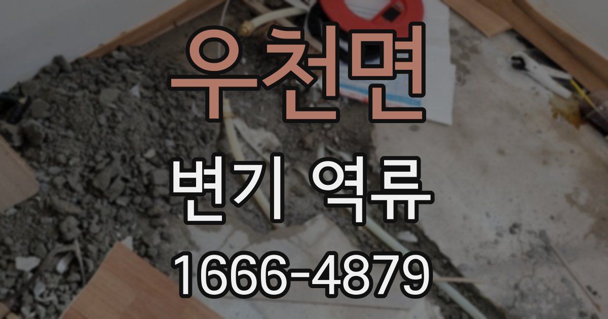 우천면 변기 역류