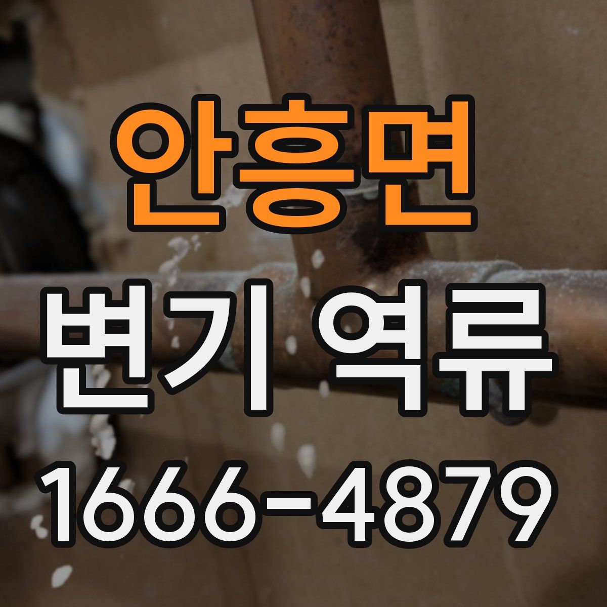 안흥면 변기 역류
