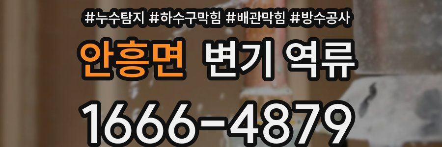안흥면 변기 역류