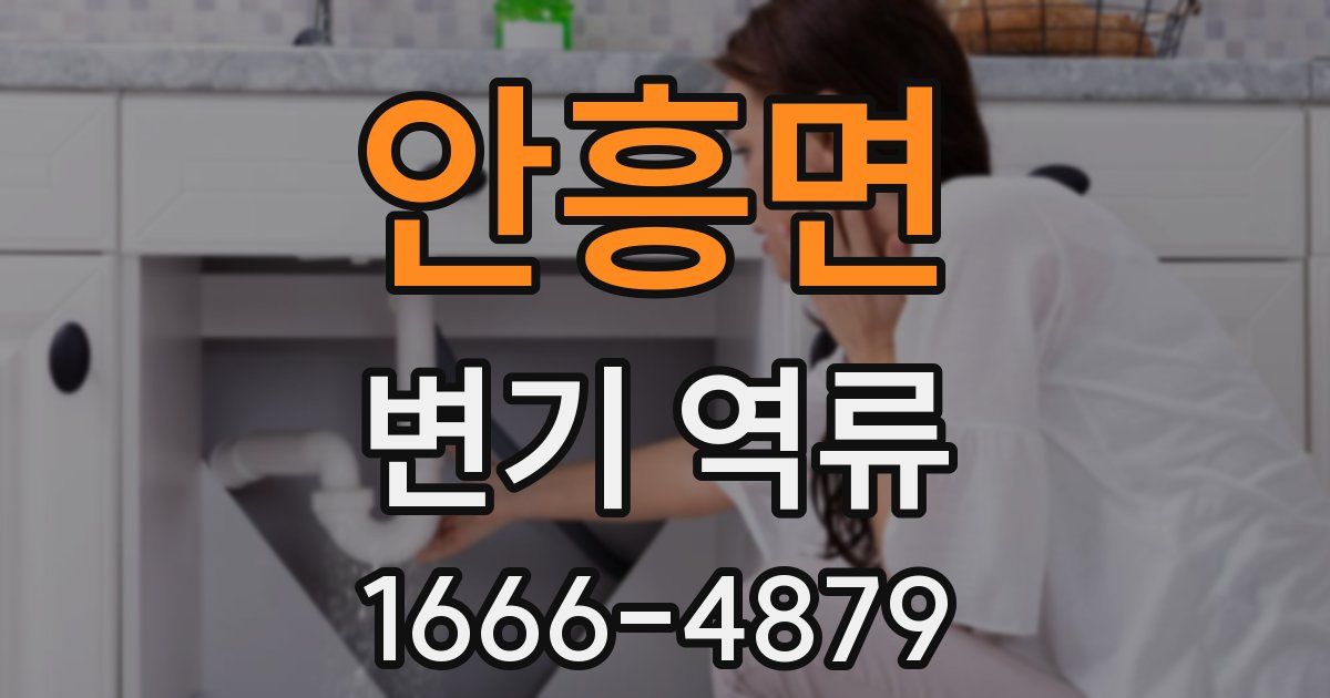 안흥면 변기 역류